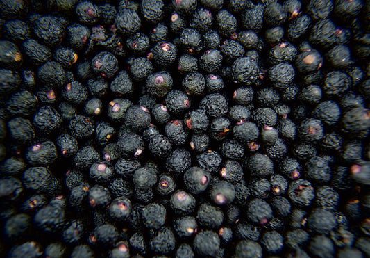 Know Your Ingredients: Maqui Berry - A Super Antoixidant?
