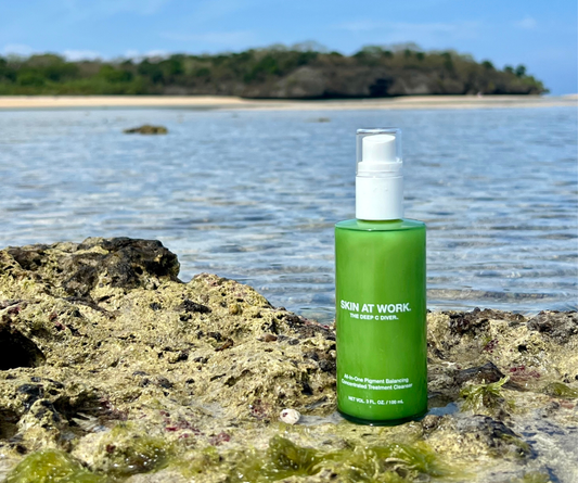 Know Your Ingredients: Skincare Glossary for THE DEEP C DIVER